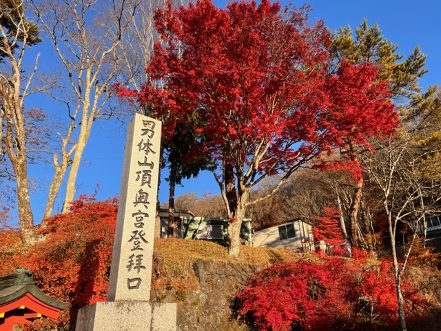 二荒山神社周辺の紅葉