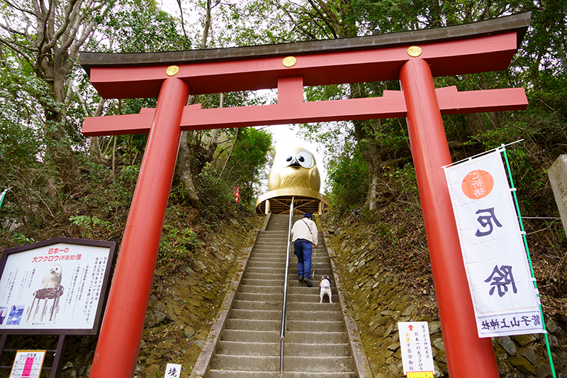 鷲子山上神社の日本一の大フクロウ
