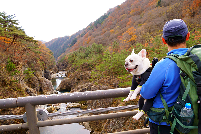 素晴らしい景色が広がる龍王峡の紅葉ハイキング