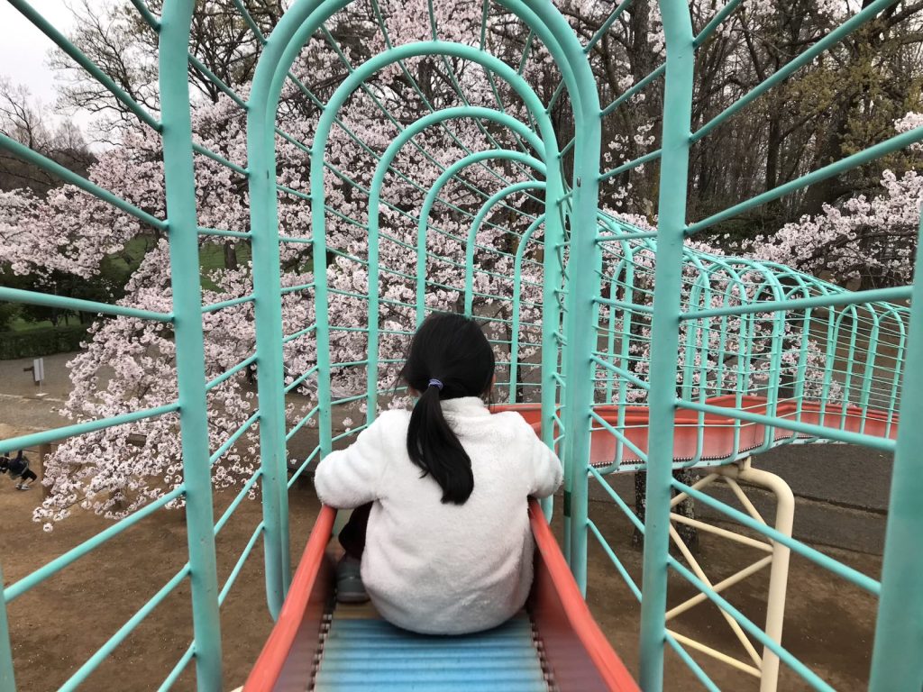 韮崎市中央公園の桜