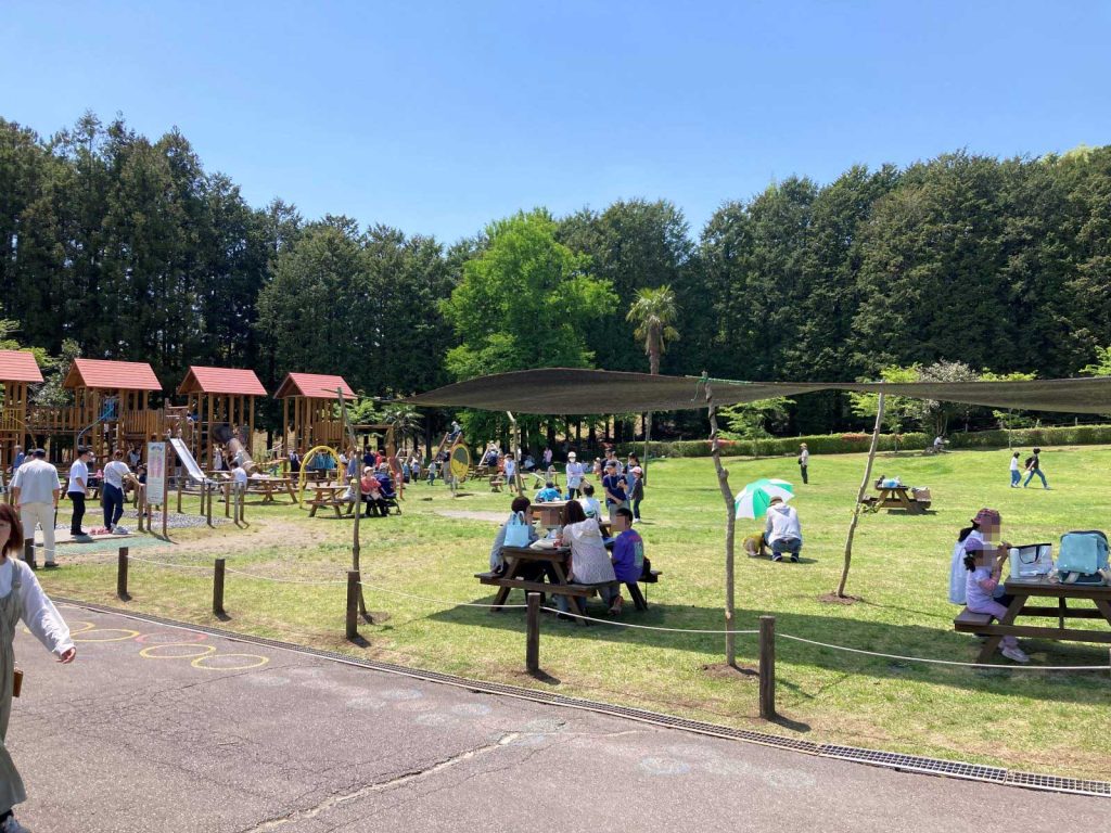 自由に遊べる芝生広場、小さいお子様向け遊具などが沢山