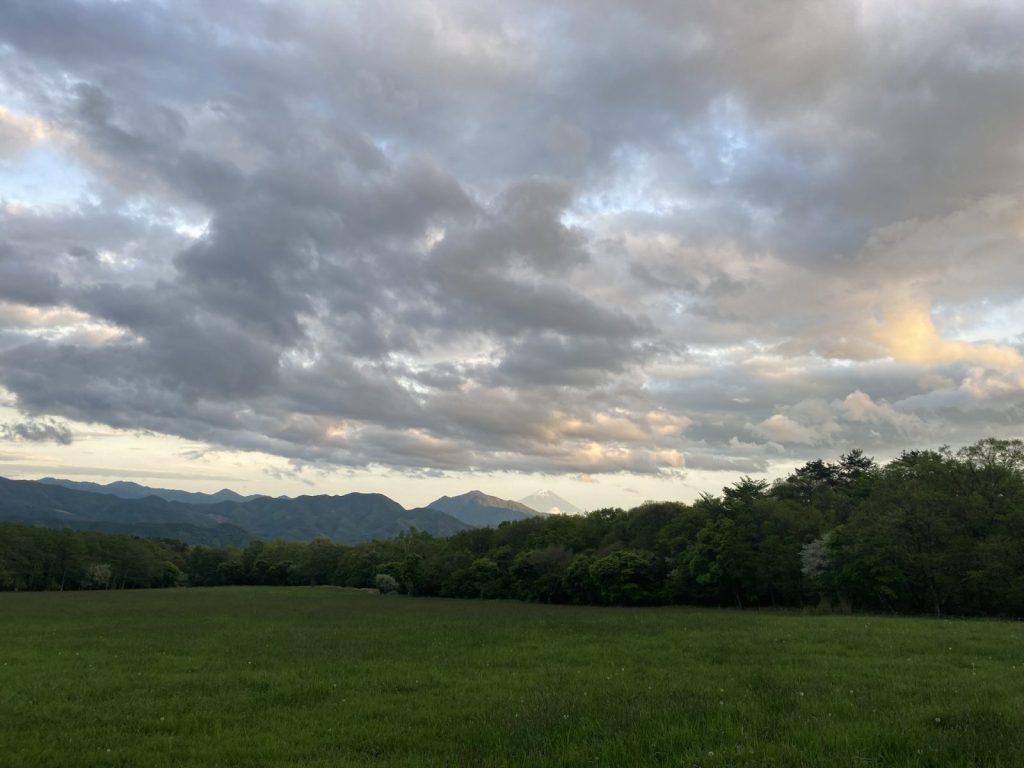 八ヶ岳の草原