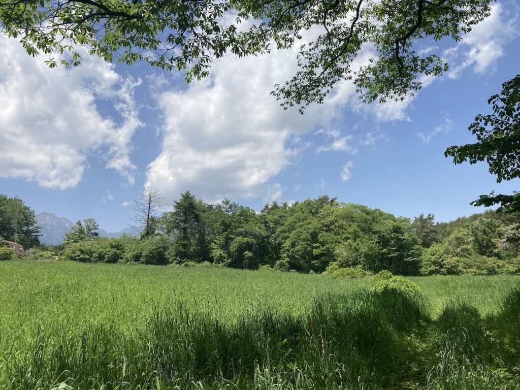 清里高原の草原