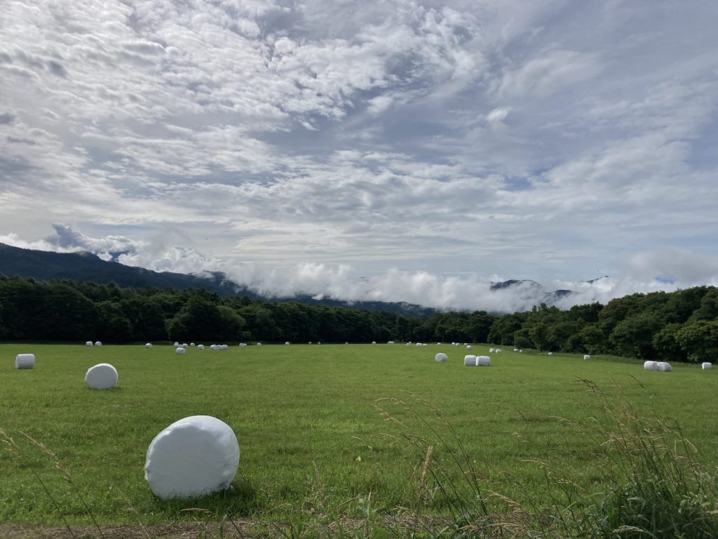 清里草原