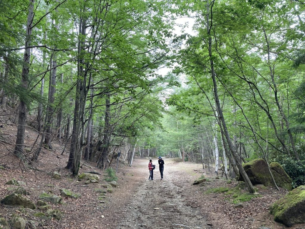 金峰山登山道