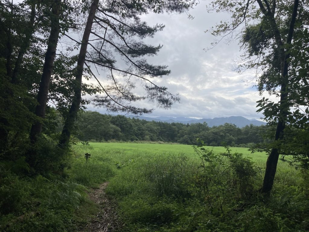 清里の牧草地