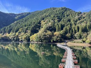 【東京都　奥多摩町】奥多摩湖　留浦浮橋　紅葉の見ごろはいつかな