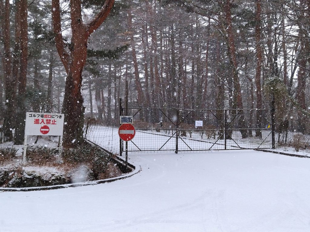 動物の足跡は相変わらずです。