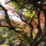 高崎白衣大観音像
