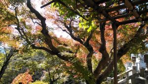 群馬県高崎市乗附町 ― 観音山に抱かれた歴史と自然のまち