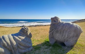 愛犬と家族連れで楽しい海辺のスポット鉾田市「鹿島灘海浜公園」