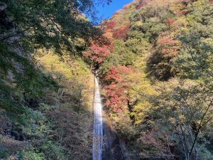 【神奈川県　足柄上郡　山北町】洒水の滝と紅葉と