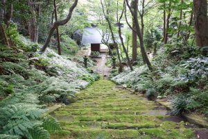 新年に行きたい！鎌倉の『苔寺』妙法寺で心静まる時間を過ごそう