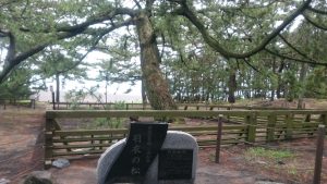 【三保の松原】美しい海の景色とかわいい神社で癒されよう！