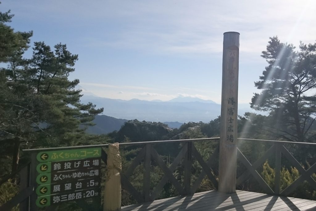 頂上付近の景色