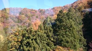 絶景！ロープウェイを使い、山の上から見る景色【昇仙峡】