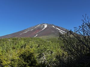 【富士五湖周辺】富士山の神社７社で神玉集め　山中諏訪神社（２社目）