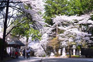 【富士五湖周辺】富士山の神社７社で神玉集め　冨士御室浅間神社（１社目）