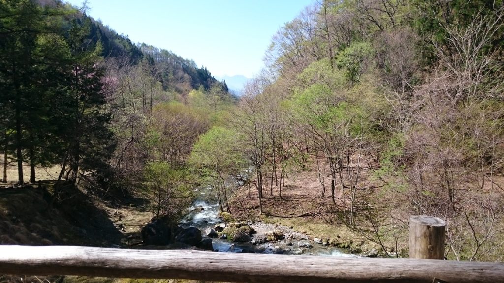 川と自然