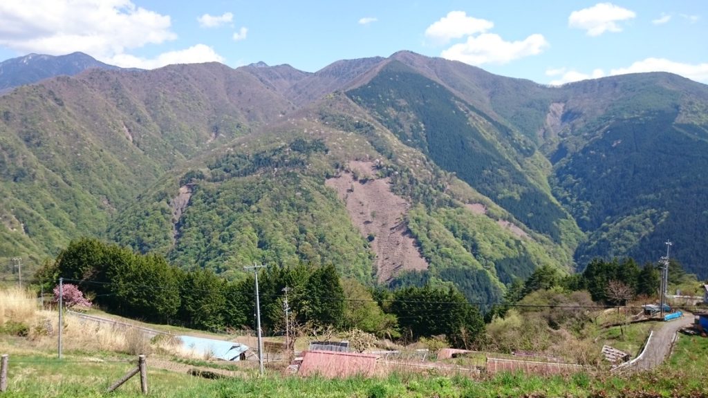 田舎