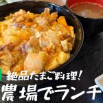 中村農場でランチ
