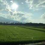 田舎の夏