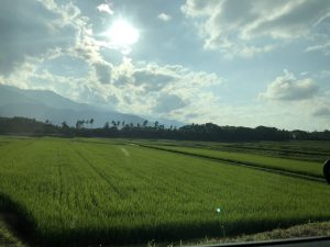 【田舎暮らし】いなかの夏はすごくいい！