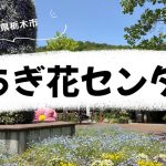 とちぎ花センター