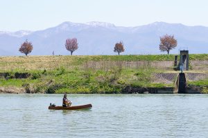【長野県・飯山市】カヌーで千曲川ダウンリバーに挑戦！＆菜の花サイクリングで自然を満喫！