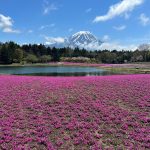 芝桜と富士山