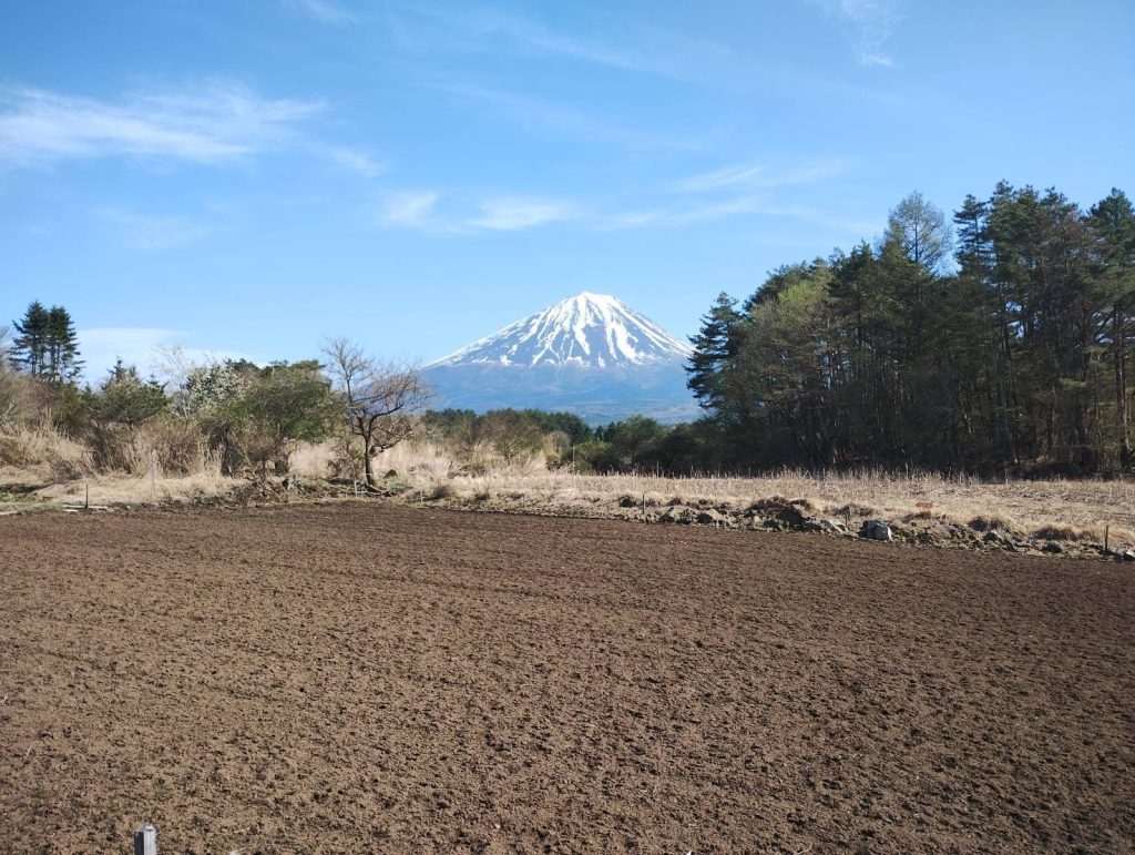 道から見える富士山