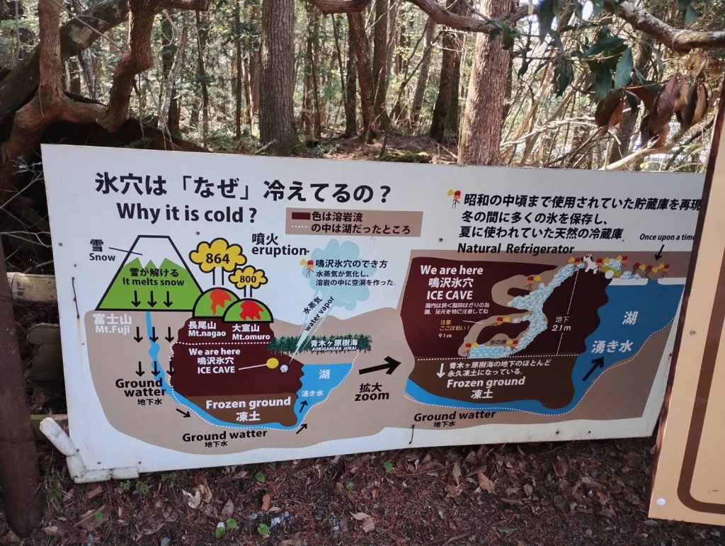 地下水が豊富な富士山麓地域、溶岩とのコラボで出来上がったんですね