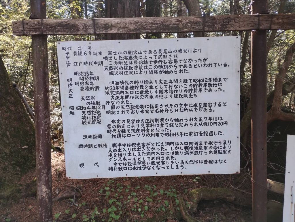 秋には少なくなるとは今後も心配です