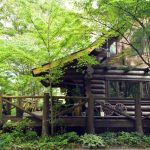 森のなかのログハウス