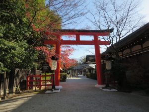 【京都】別名のほうが有名かもしれない！【加茂御祖神社】
