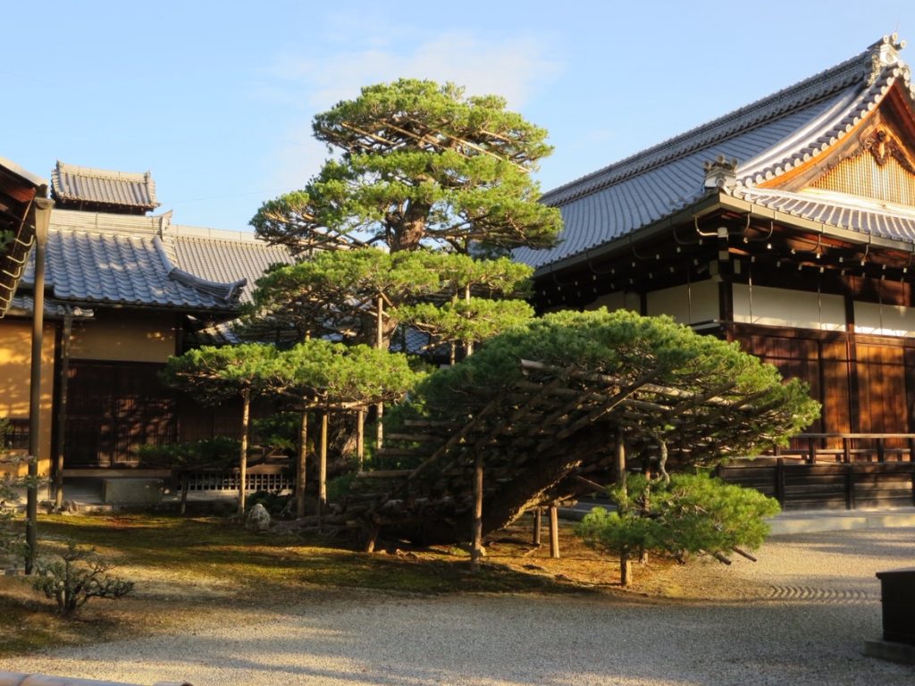 金閣寺