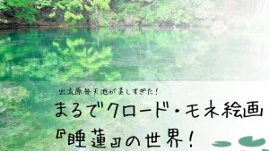 まるでクロード・モネが描いた「睡蓮」の世界！出流原弁天池が美しすぎた！