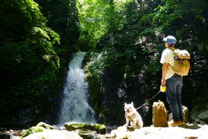 【那須塩原】滝をめぐりながら渓谷ハイク。「風挙の滝」から名瀑「竜化の滝」へ。