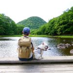 【那須塩原】樹上に産み付けられた白い卵塊。天然記念物の「モリアオガエル」の生息地、大沼園地へ。