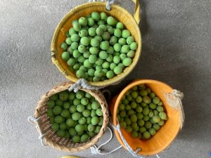 【群馬県榛東村】榛名の梅で梅エキスを作る