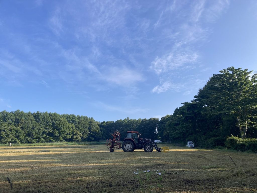 清里牧場通り