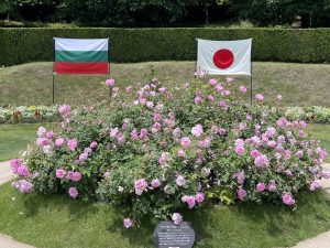 バラが咲き誇る山郷　群馬県吾妻郡にある花の楽園『中之条ガーデンズ』でバラの世界を堪能！