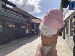 【松本市】クラフトジェラート・アイスがアツい！人気の2店を食べ比べ！