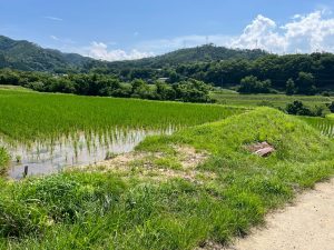 長野で古民家売却を成功させるには？魅力いっぱいの四賀地区の暮らしも紹介