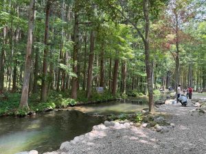 【那須観光におすすめ】那須フィッシュランドで釣り体験と乙女の滝で自然を満喫！