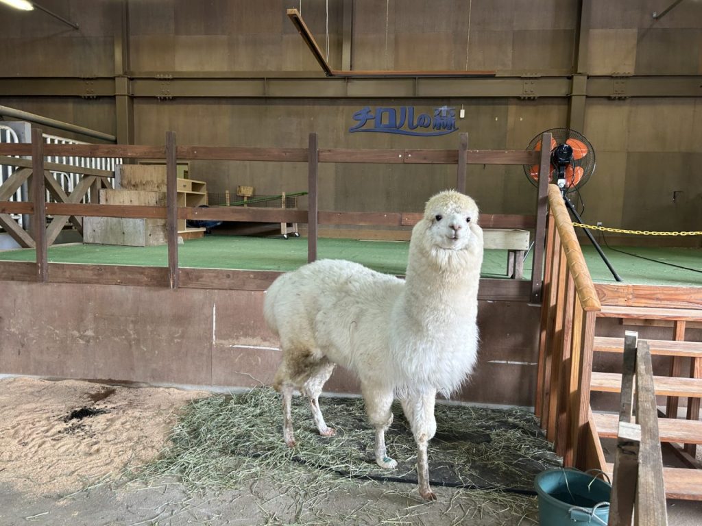 長野県　塩尻市　チロルの森　