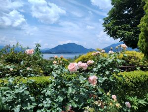 初夏の花めぐり　〜河口湖北岸〜