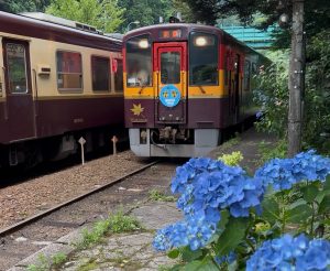 わたらせ渓谷鉄道途中下車の旅！　レトロな雰囲気で人気の【沢入駅】で、アジサイの彩りを楽しんで来ました！