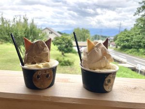 【北杜市・大泉】猫好きにはたまらない！猫雑貨とジェラートのお店「GiLL by le.chat.des.bois」へ♪
