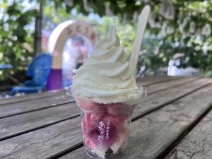 赤城山麓で育った絶品の「桃」を求めて、夏の『赤城山』へ！